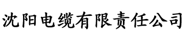 91香蕉视频无限电缆厂logo